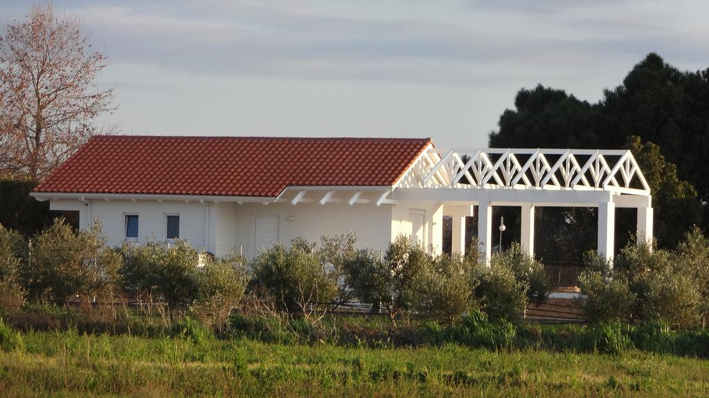 White Villas Douneika  外观 照片